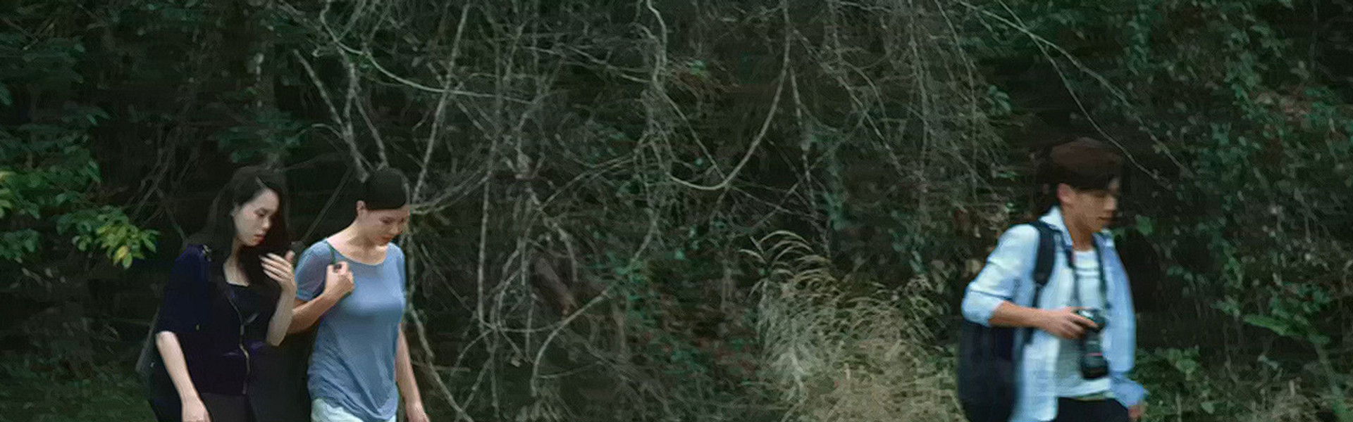 Favorite Begonia Flower