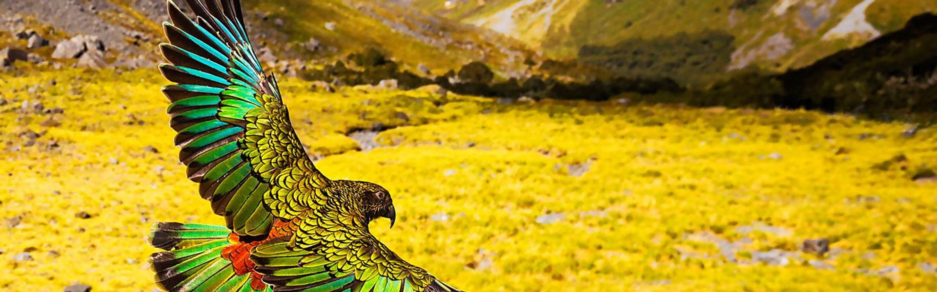 New Zealand: Earth's Mythical Islands