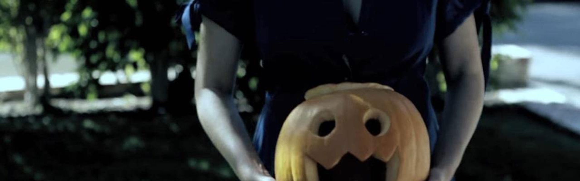 Charlie Brown: Blockhead's Revenge