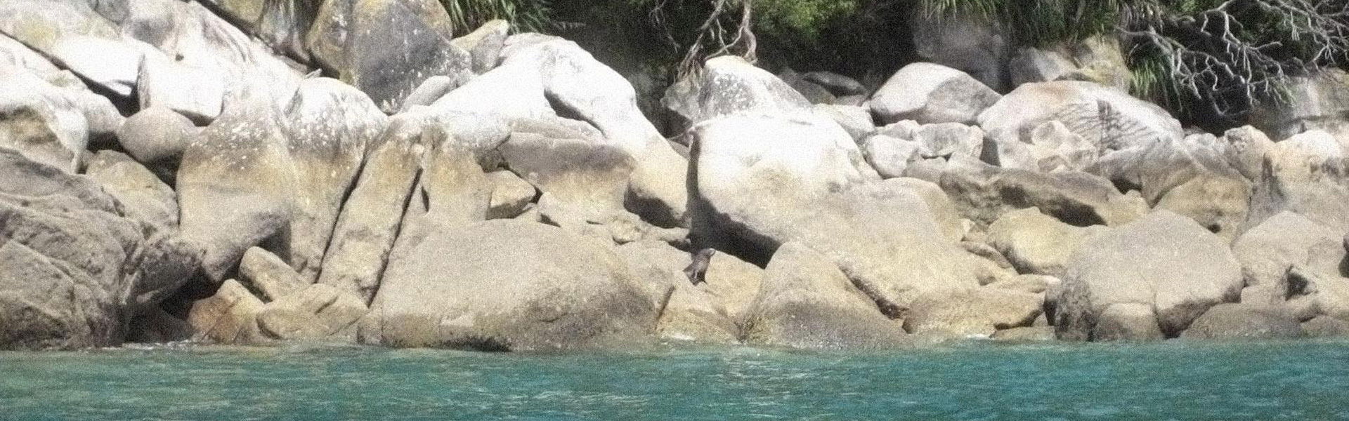 The Other Side of Heaven