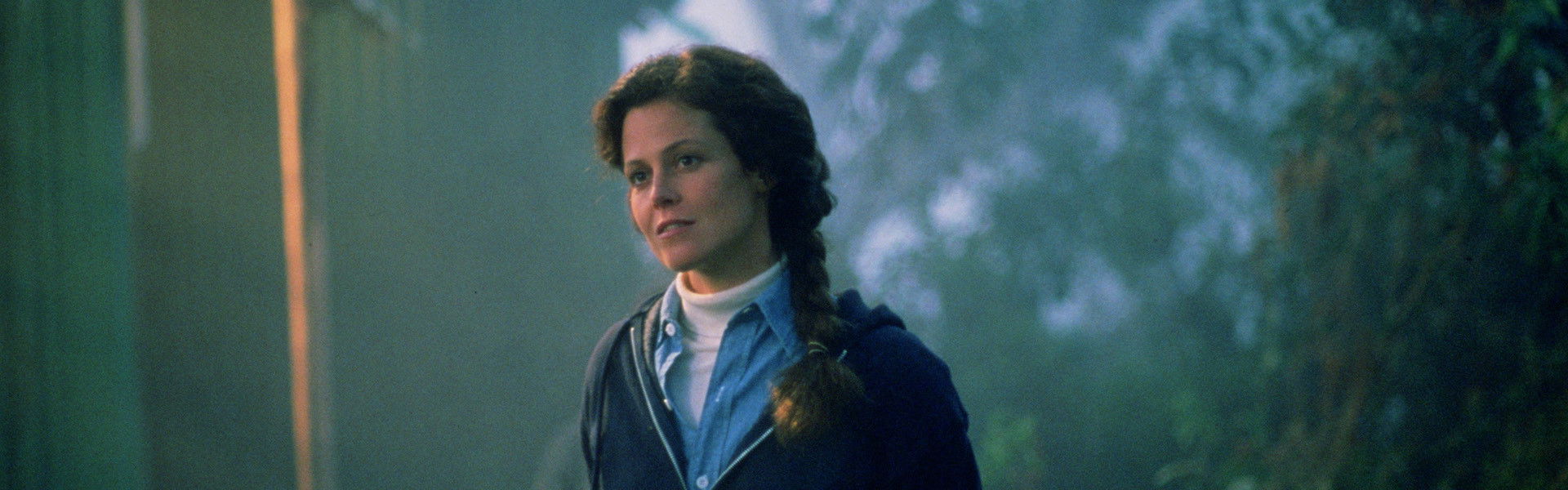 Gorillas in the Mist