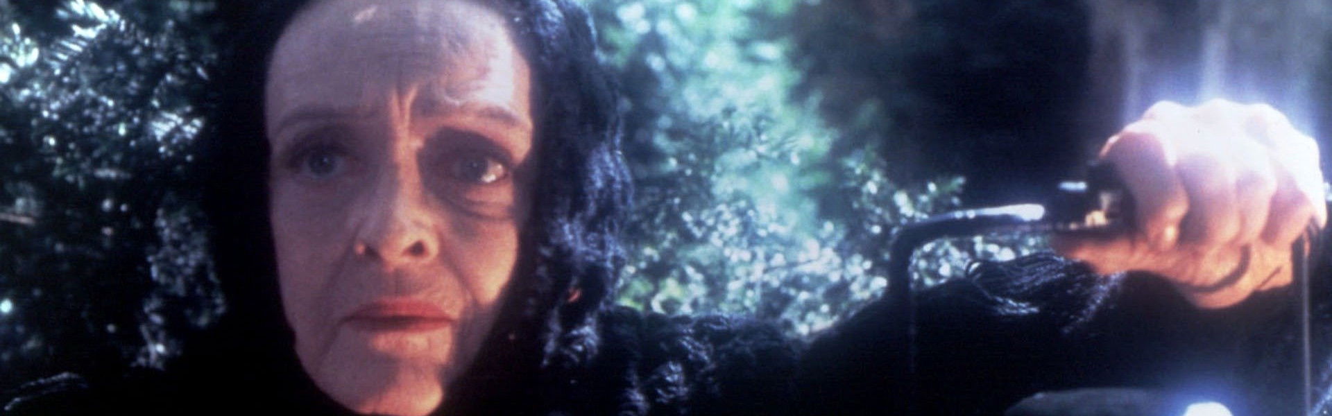 The Watcher in the Woods