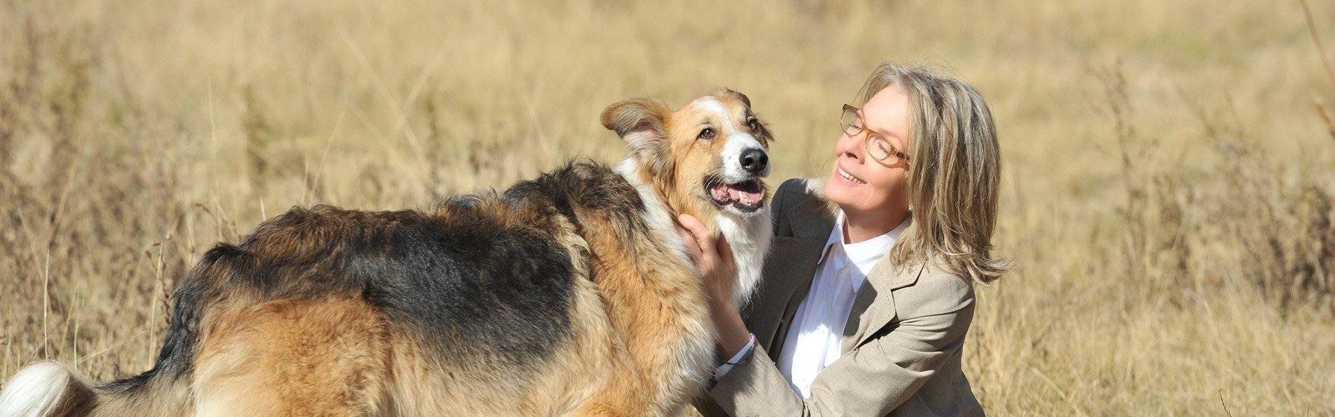 Darling Companion