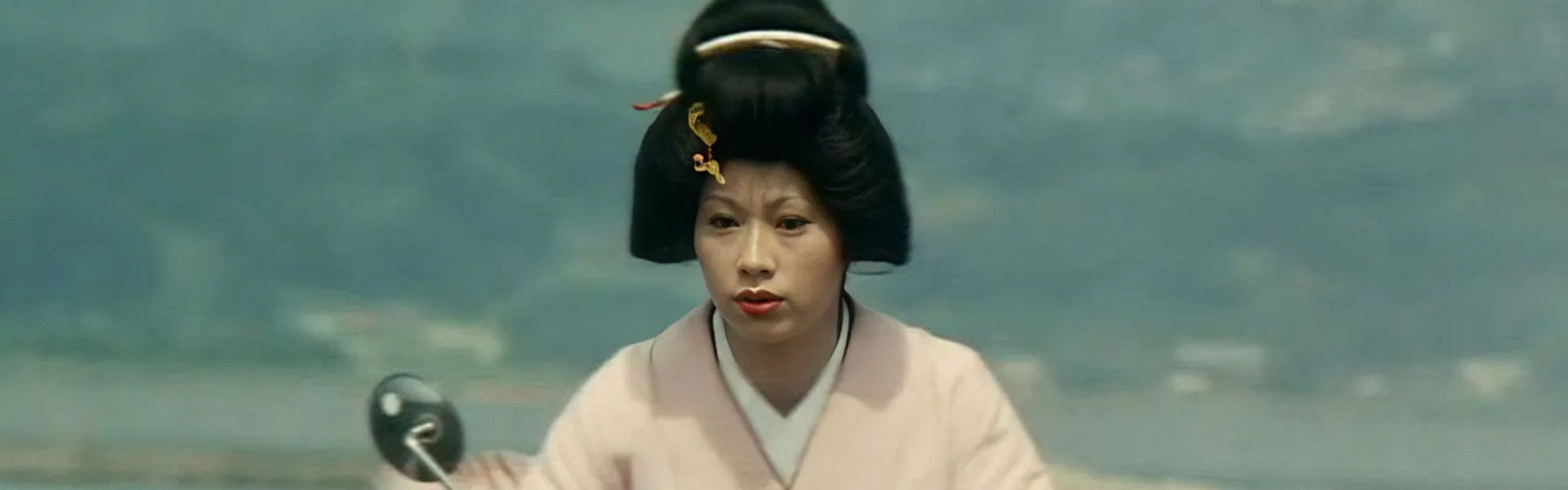 Turtle Geisha