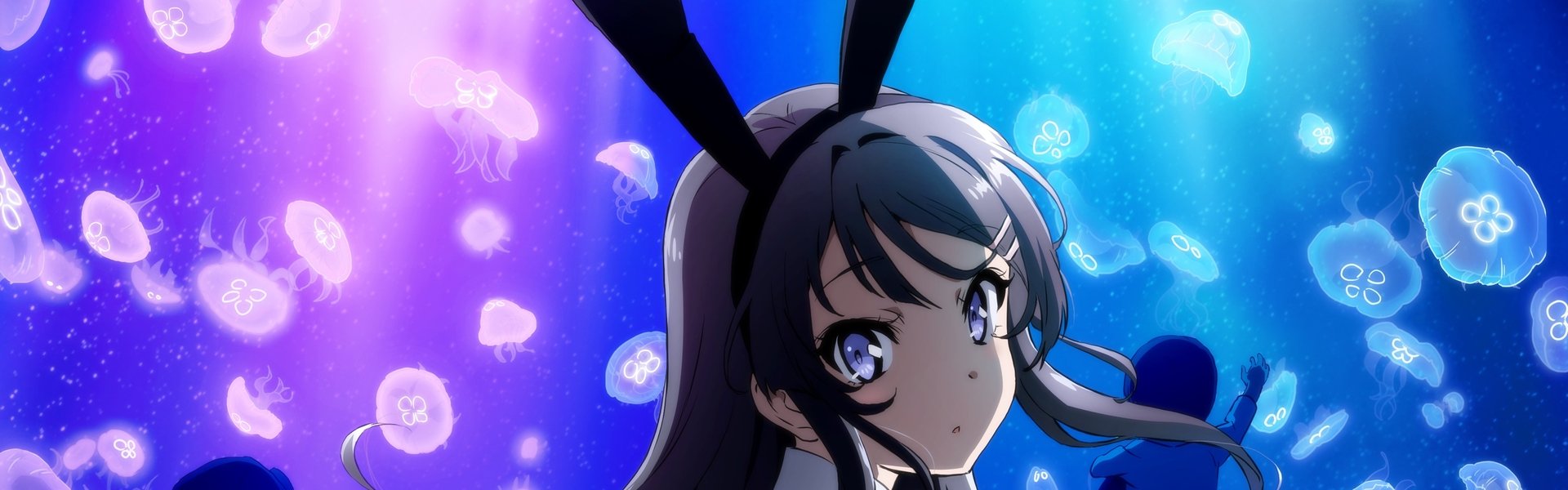 Rascal Does Not Dream of Bunny Girl Senpai