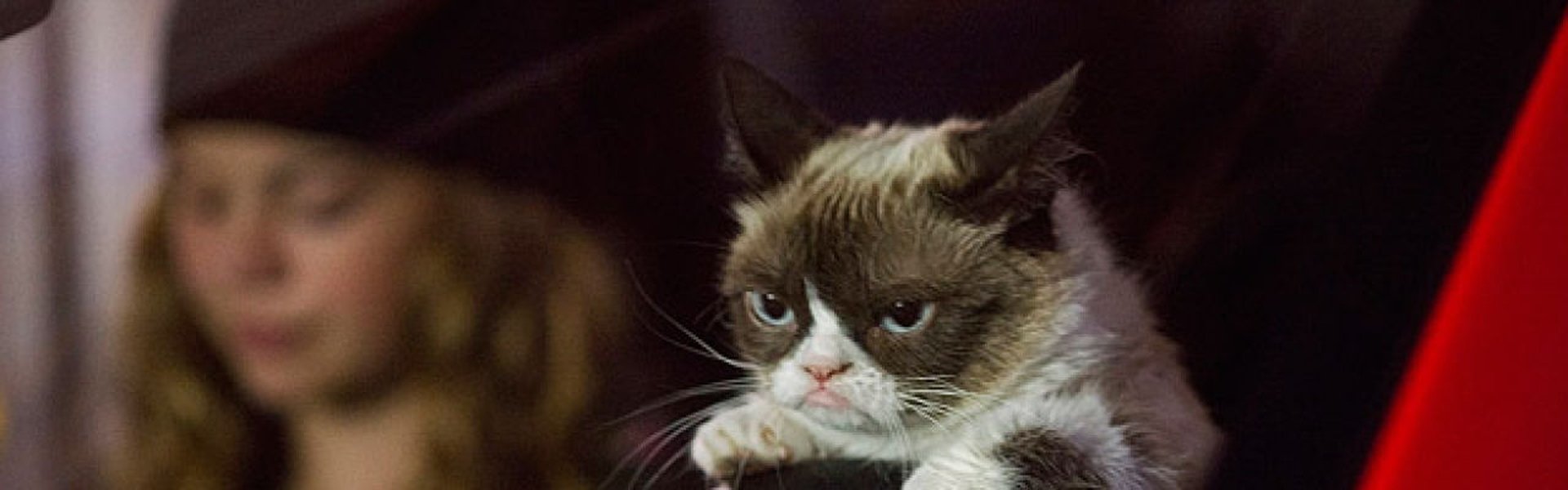 Grumpy Cat's Worst Christmas Ever