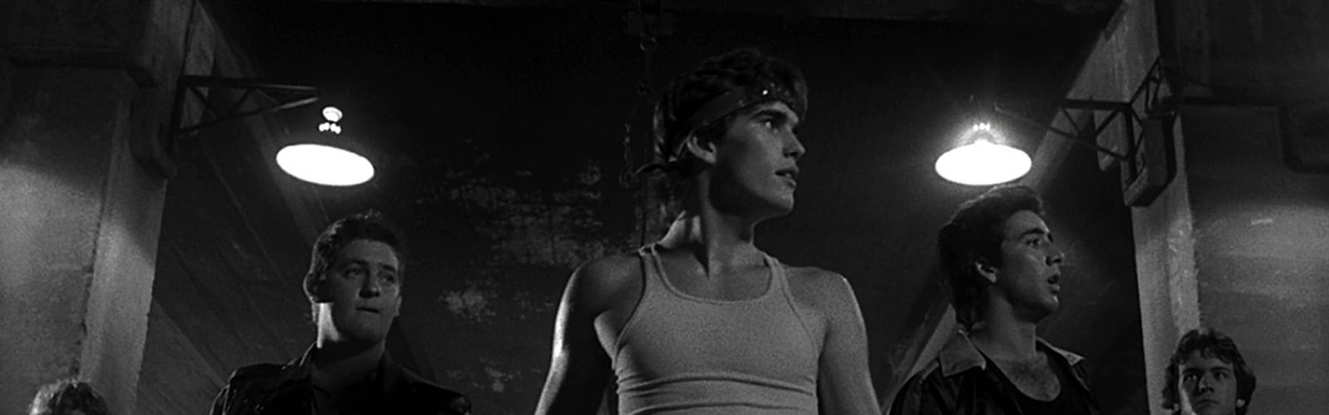 Rumble Fish