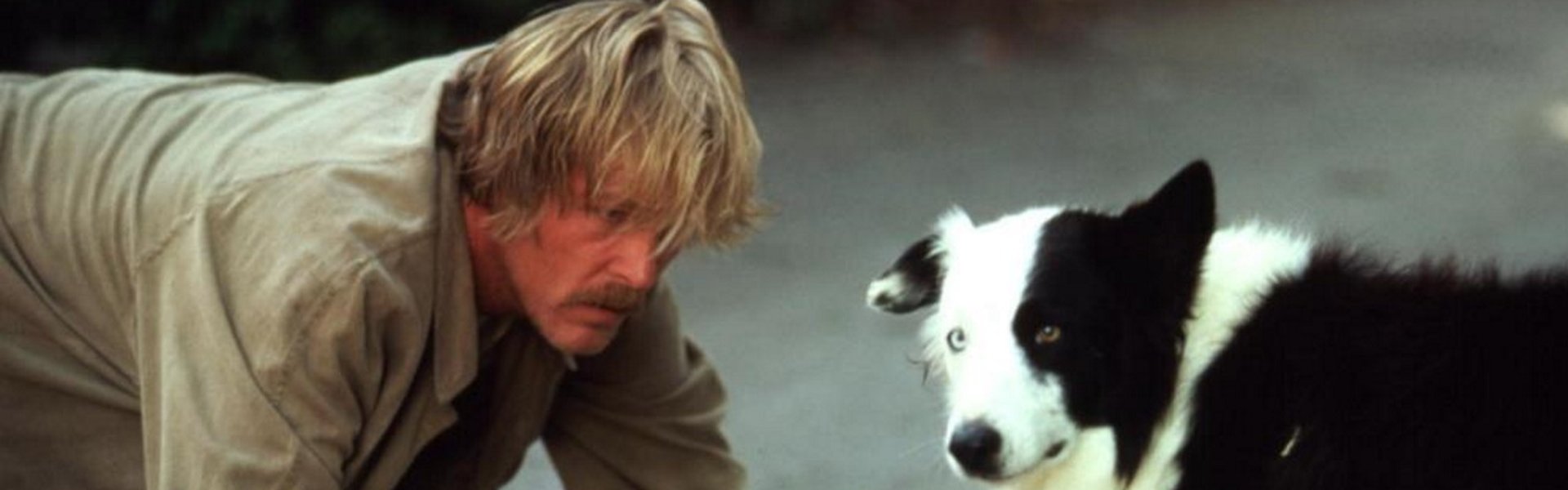 Down and Out in Beverly Hills