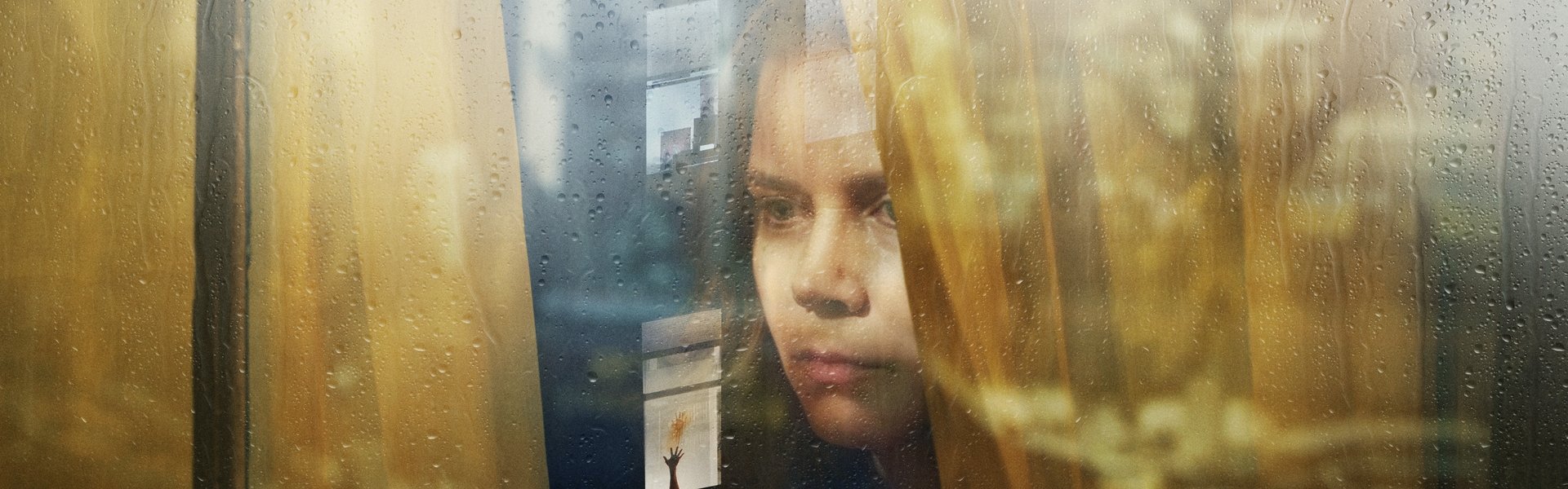 The Woman in the Window