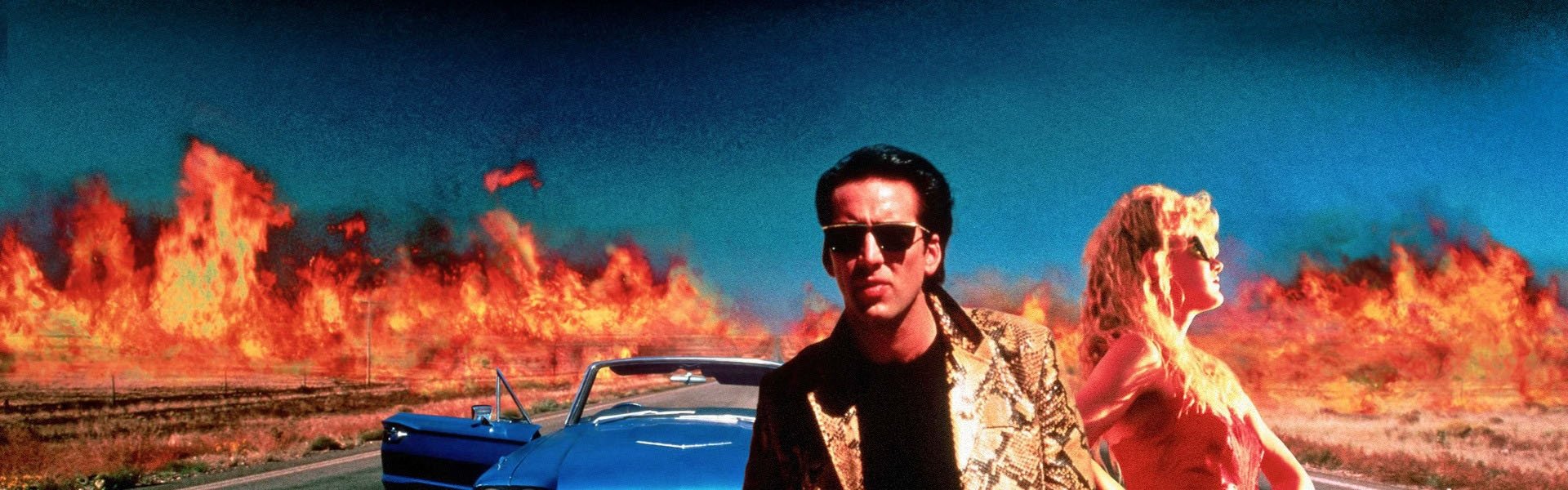 Wild at Heart