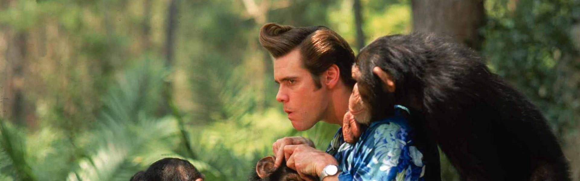 Ace Ventura: When Nature Calls