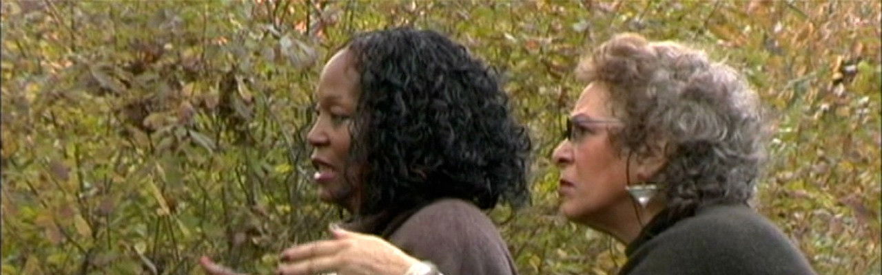 Symbiopsychotaxiplasm: Take 2½