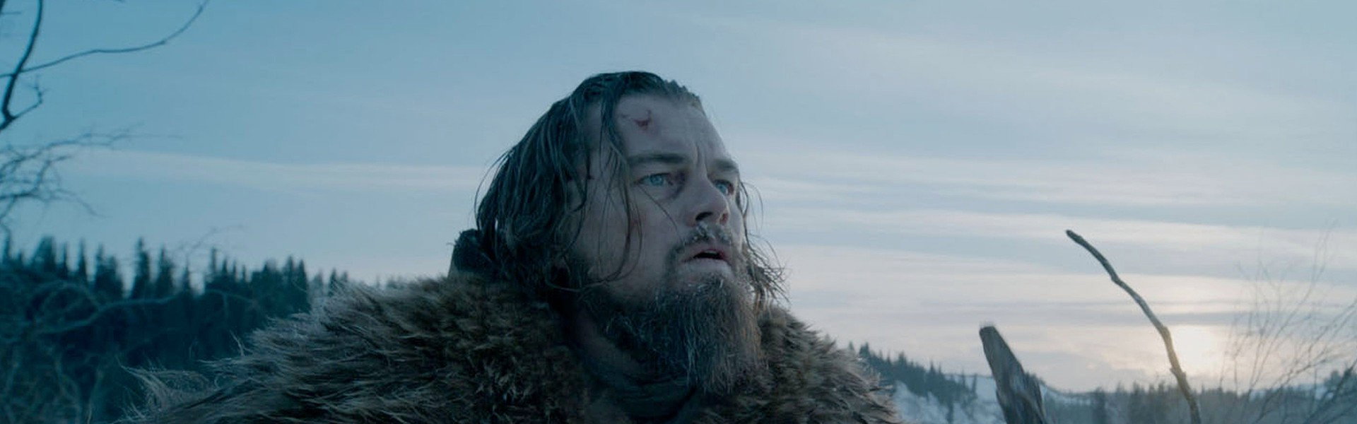 The Revenant
