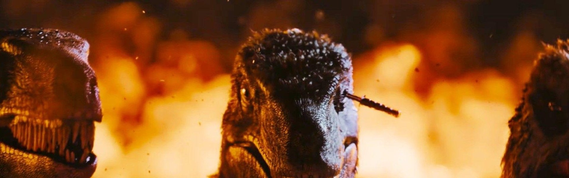 Primitive War