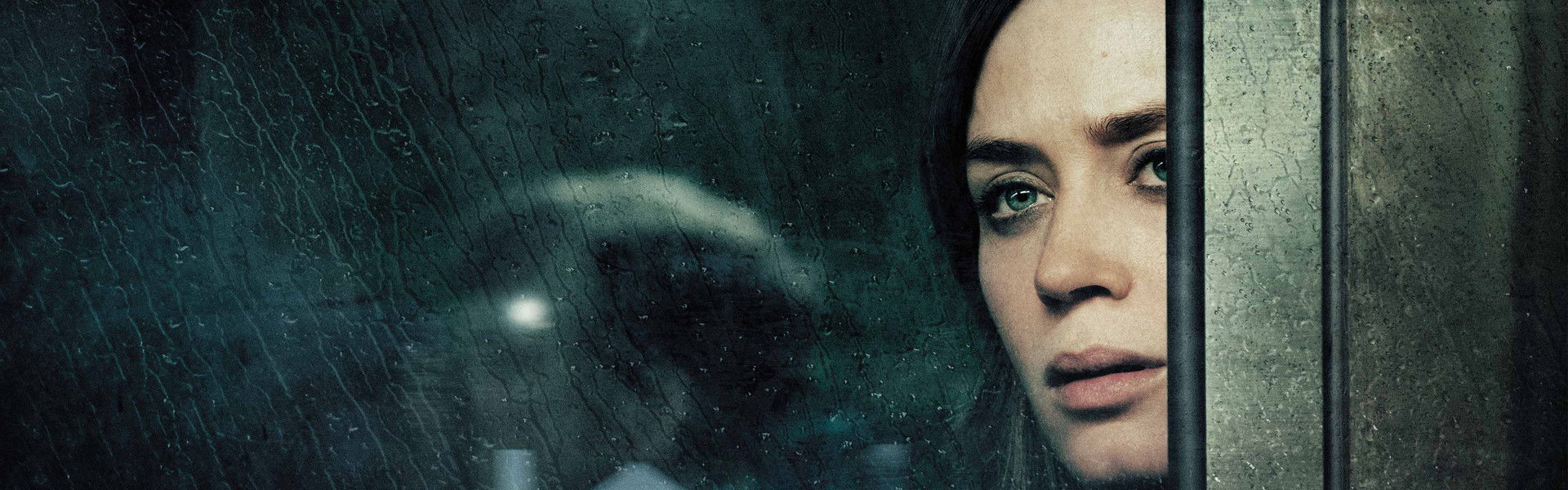 The Girl on the Train