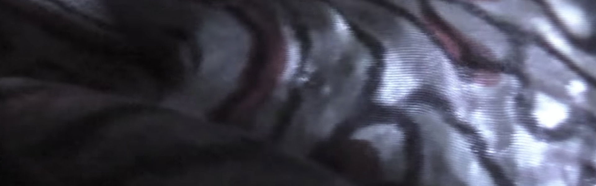 Venice 70: Future Reloaded