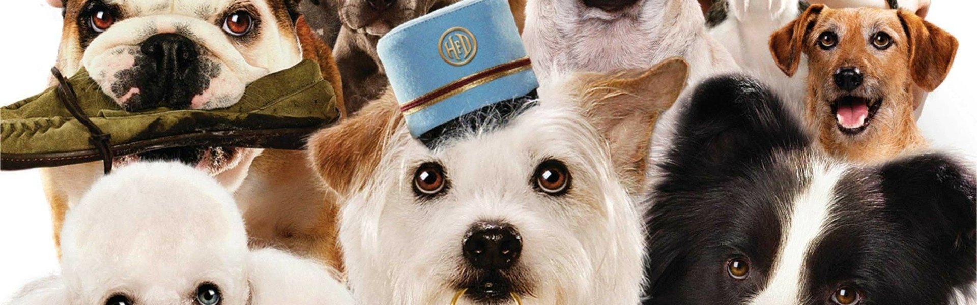 Hotel for Dogs