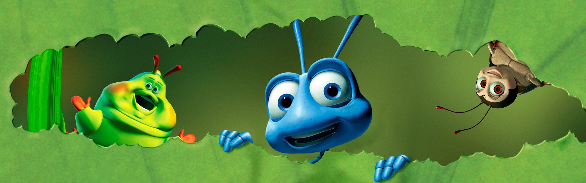 A Bug's Life