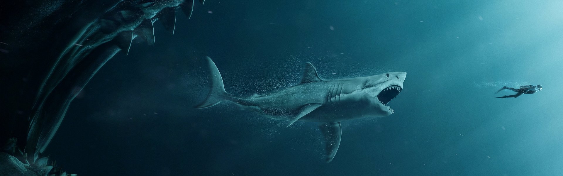 The Meg