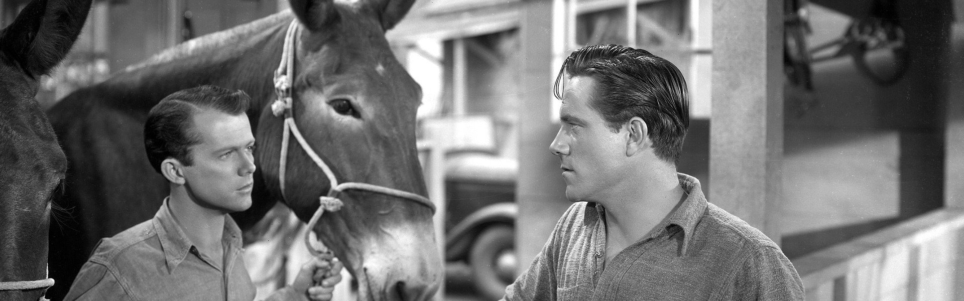 Scudda Hoo! Scudda Hay!