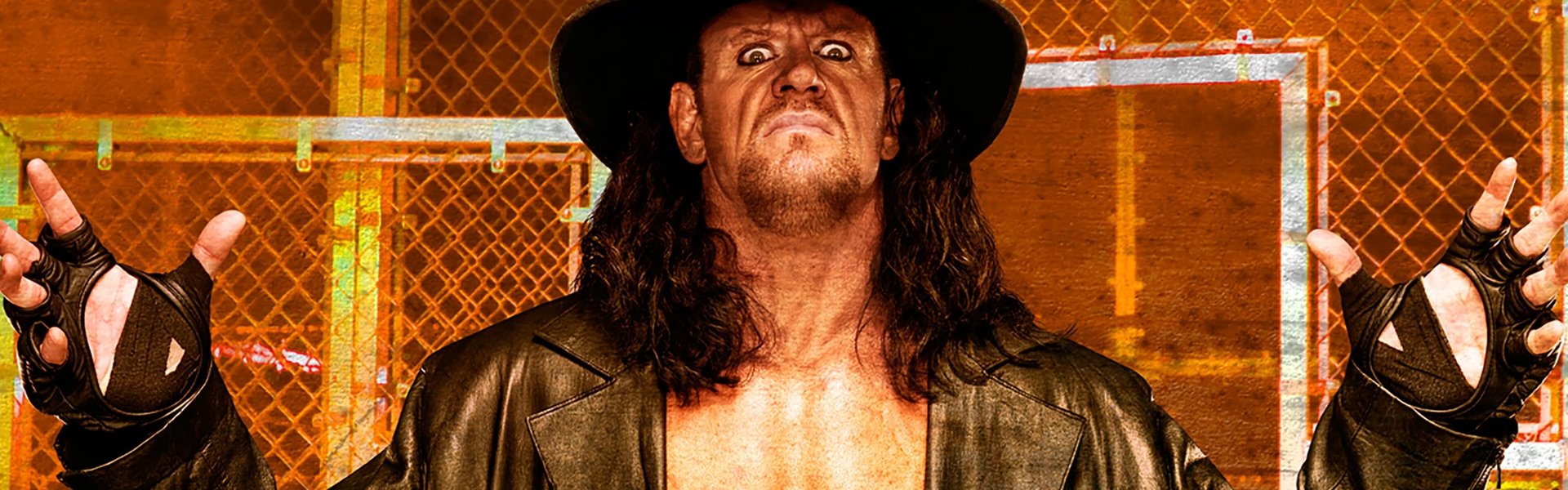 WWE Hell in a Cell 2009