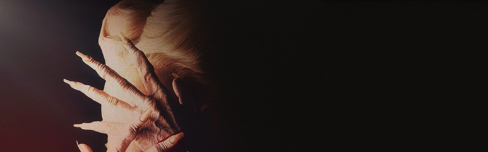 Bram Stoker's Dracula