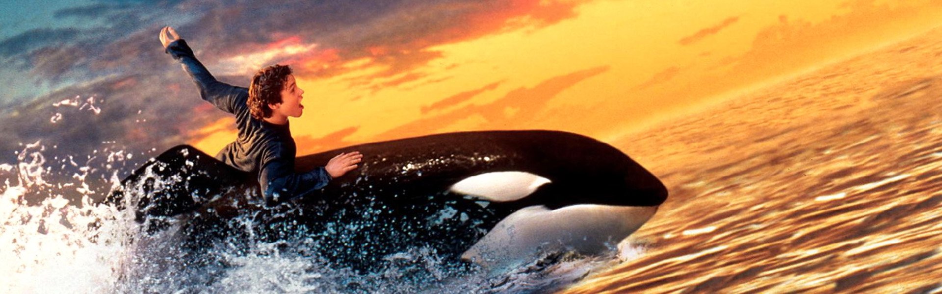 Free Willy 2: The Adventure Home