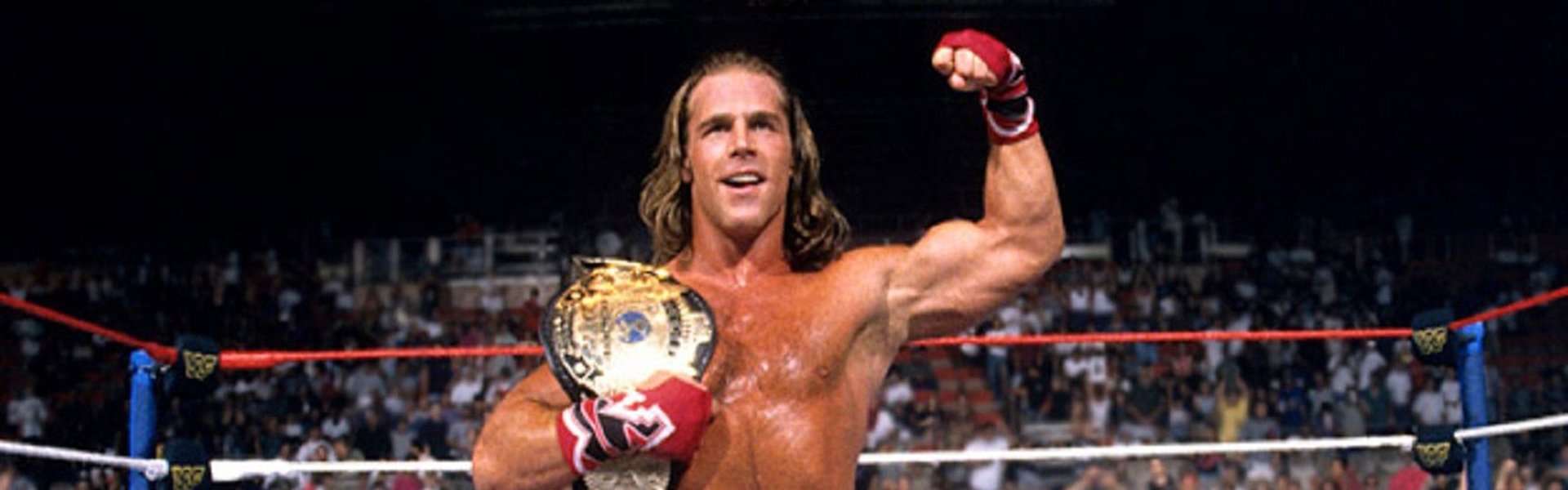 WWE: The Shawn Michaels Story - Heartbreak & Triumph