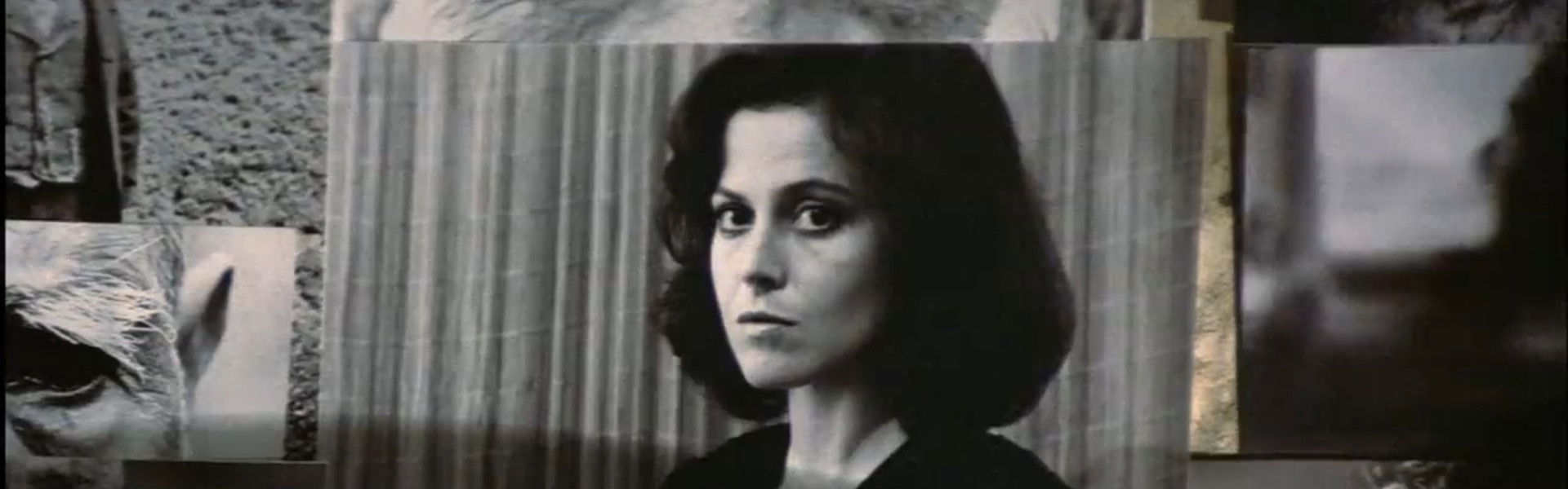 The Year of Living Dangerously