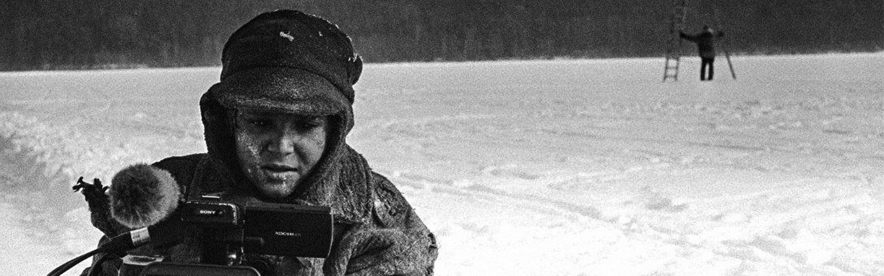 11 Colours of the Bird