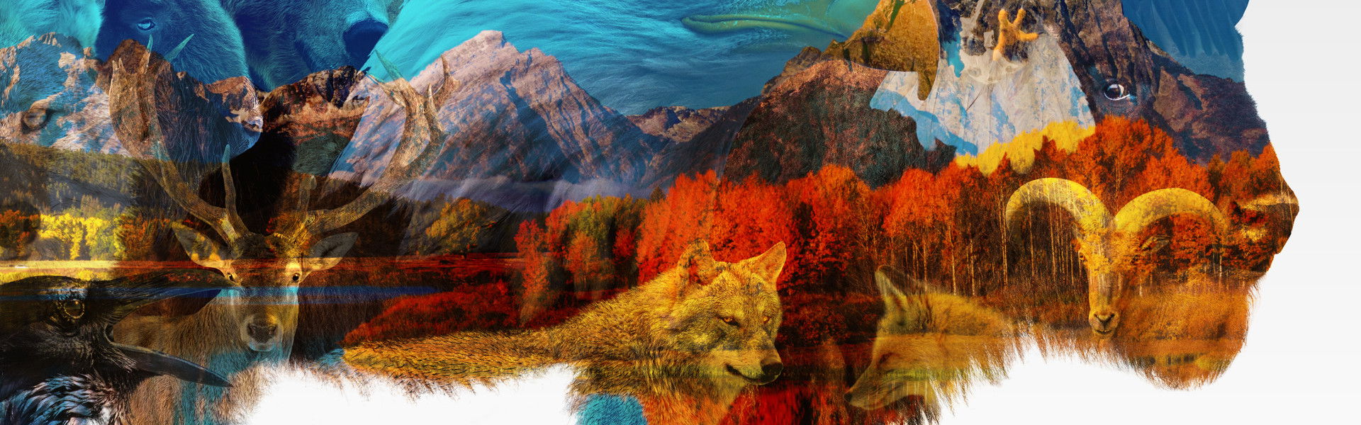 America the Beautiful