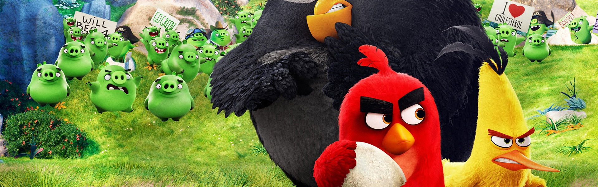 The Angry Birds Movie
