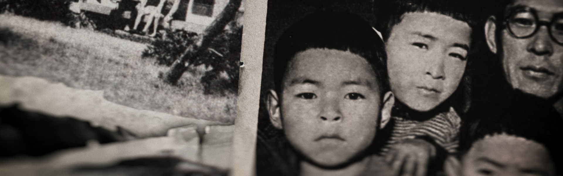 Miyazaki, Spirit of Nature