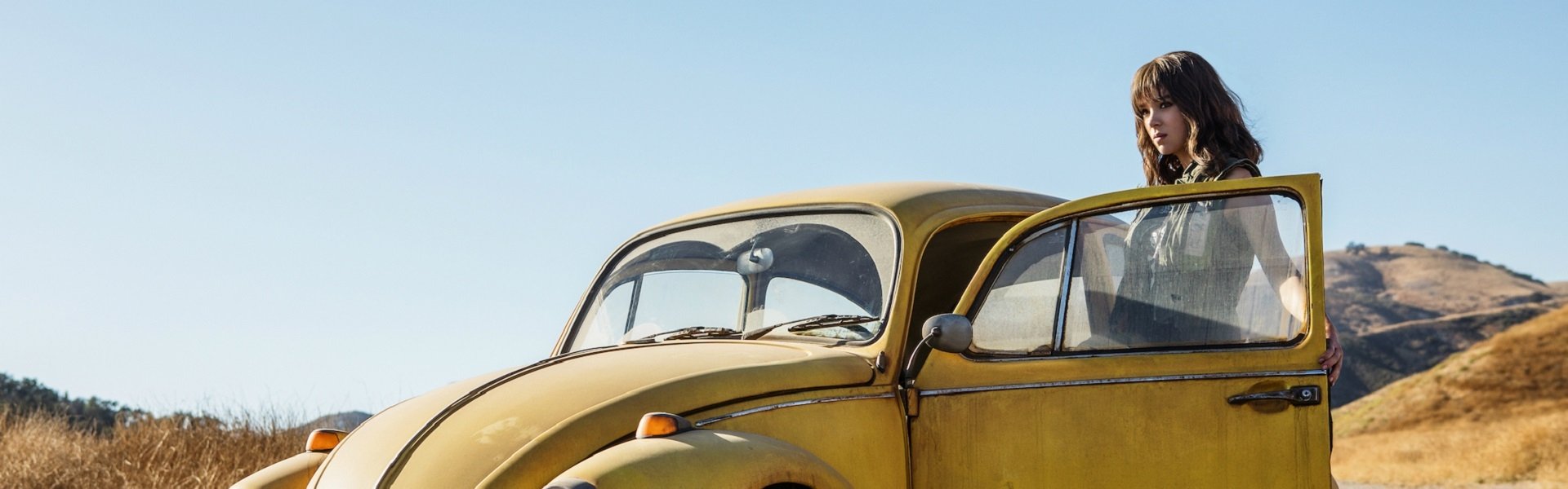 Bumblebee