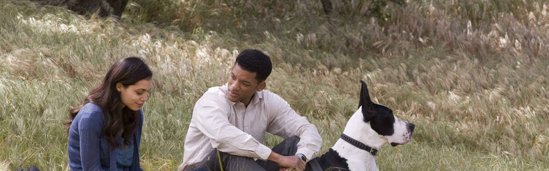 Seven Pounds