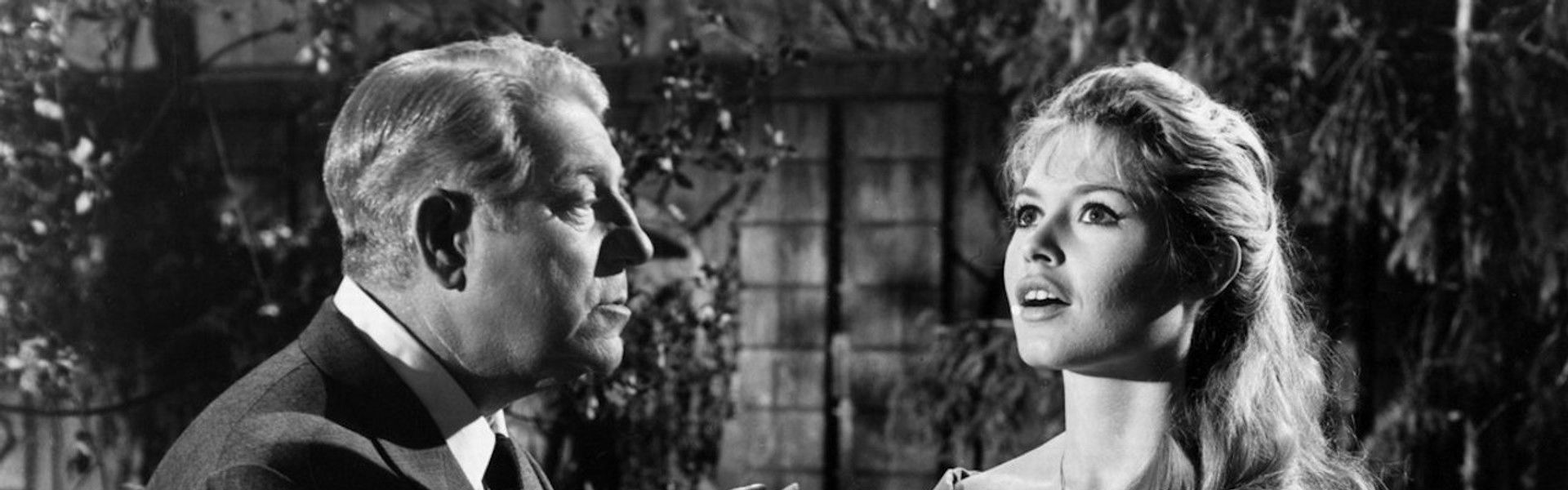 Love Is My Profession