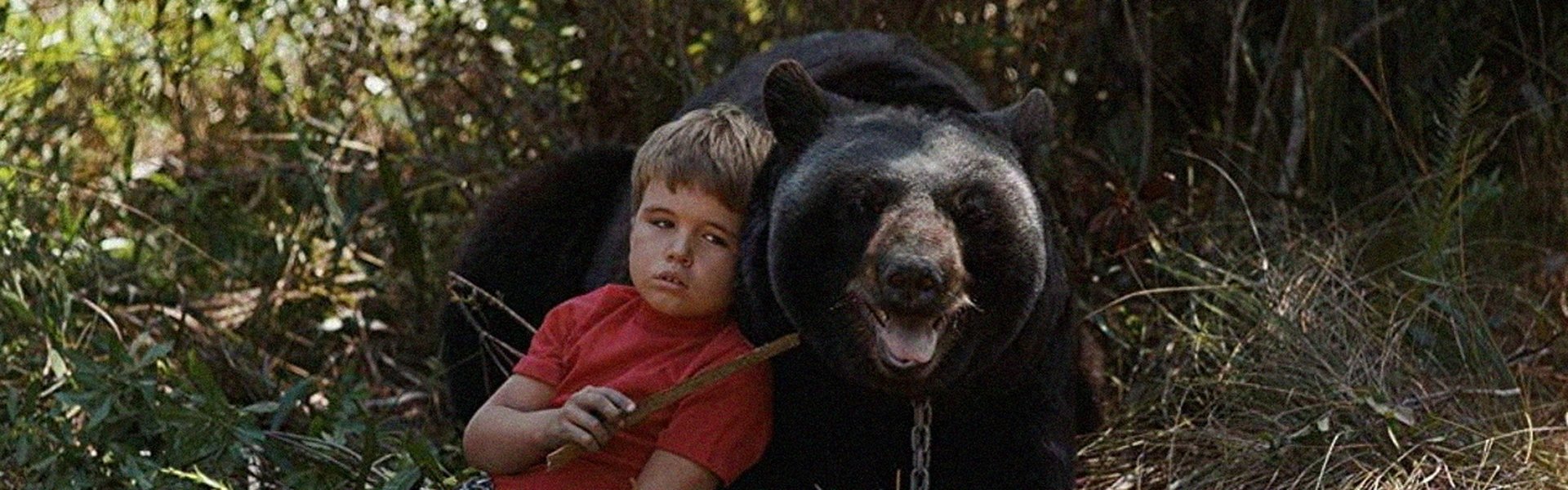 Gentle Ben
