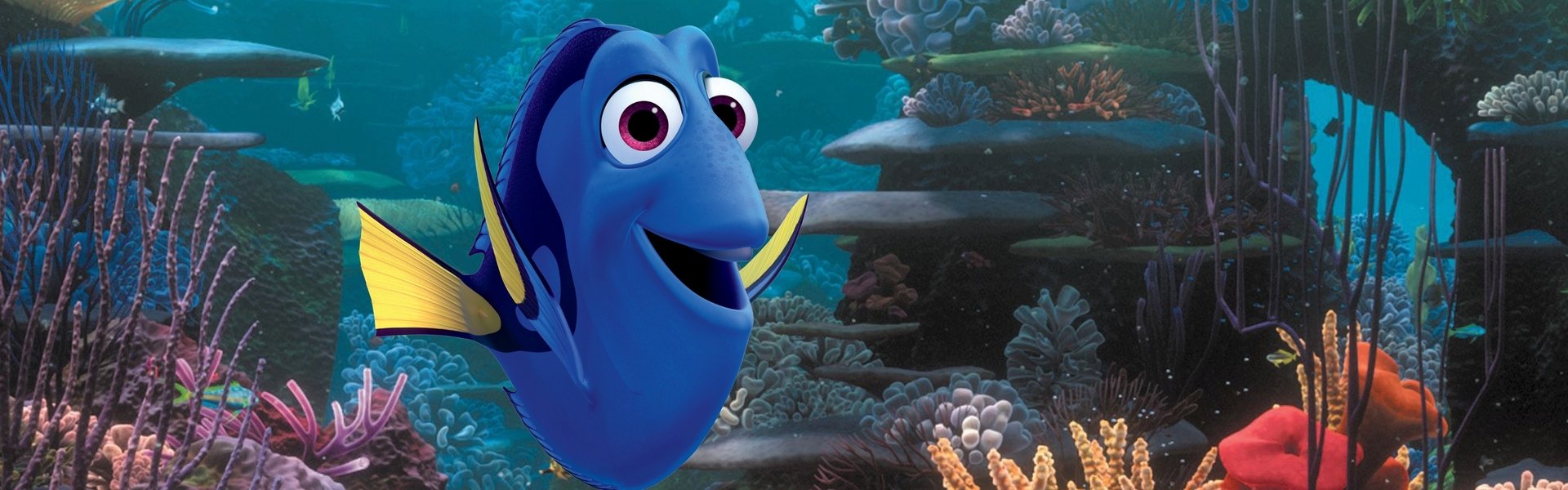 Finding Dory