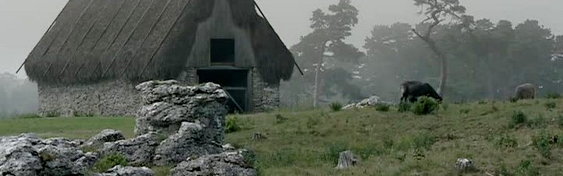 Bergman Island