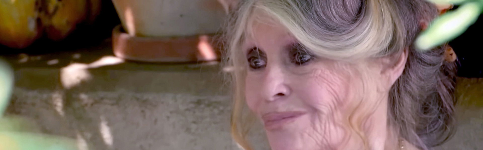 Brigitte Bardot, la vérité de BB