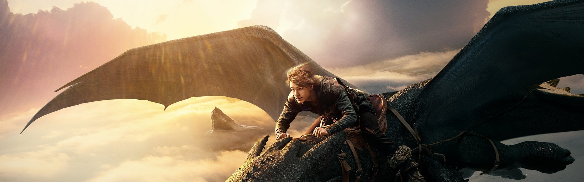 How to Train Your Dragon