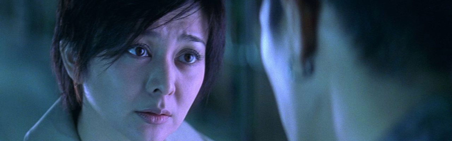 The Wesley's Mysterious File