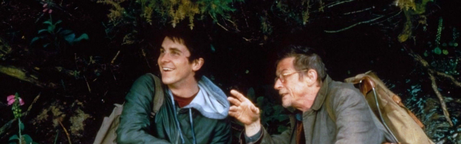 All the Little Animals