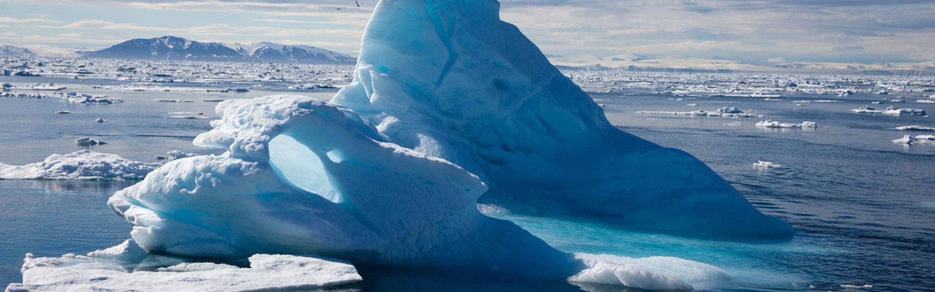 To the Arctic 3D