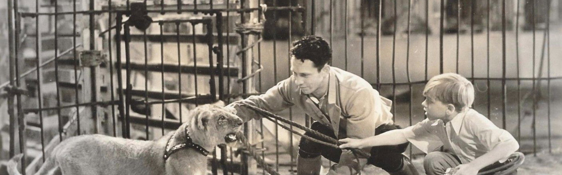 The Big Cage