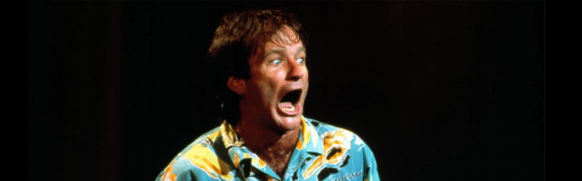 Robin Williams: An Evening at the Met