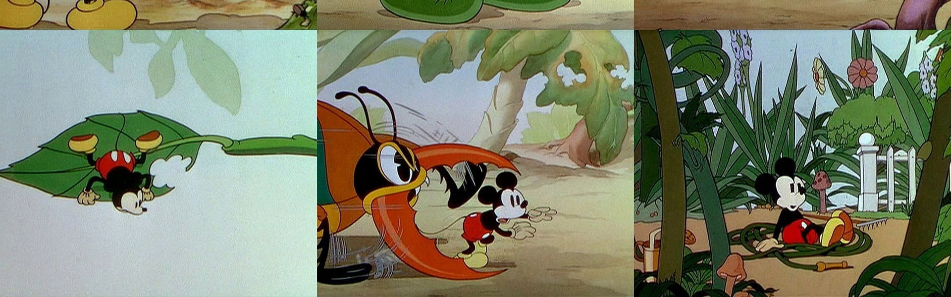 Mickey's Garden