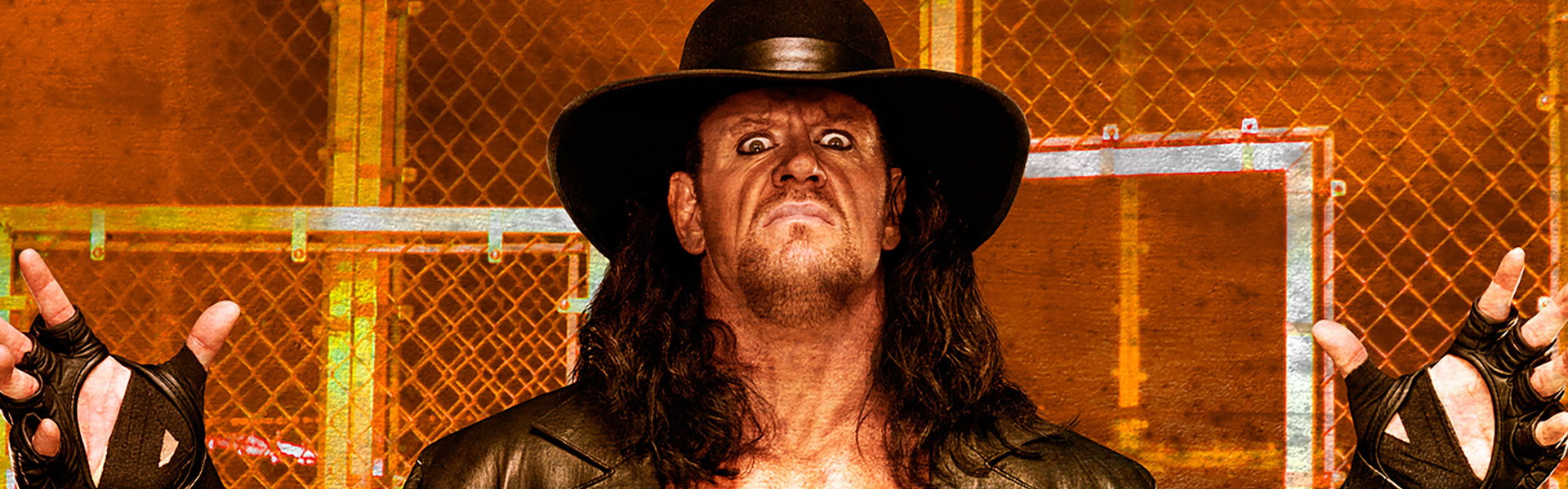 WWE Hell in a Cell 2009