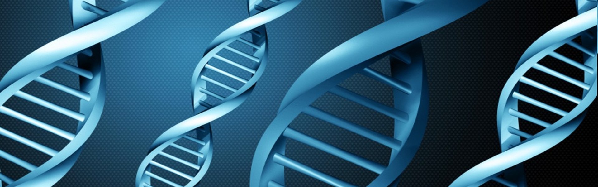 DNA