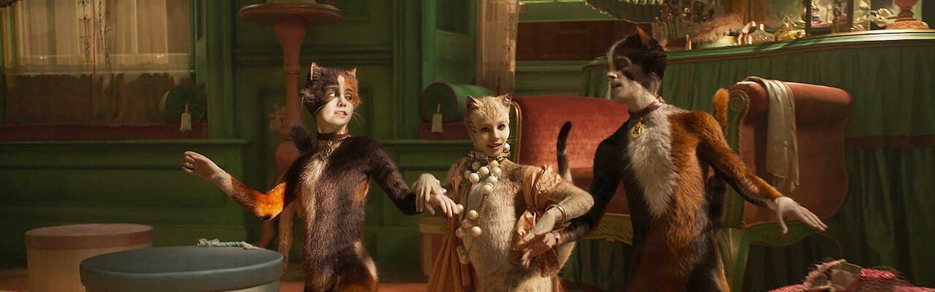 Cats